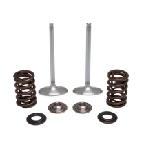 SPRING KIT, INTAKE ONLY, 415" LIFT, KAWASAKI&reg;, KX&trade; 250F, 201