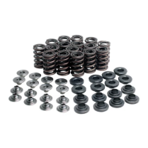 SPRING KIT, .480 LIFT, KAWASAKI, ZX7