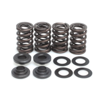 SPRING ONLY, .430 LIFT, KAWASAKI, KLX 250 / 300