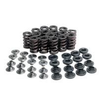 SPRING KIT, .470 LIFT, KAWASAKI, ZX9