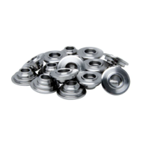 RETAINERS, TI, KAWASAKI, ZX10 &Ograve; ZX11