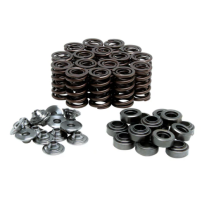 SPRING KIT, .430 LIFT, SUZUKI, GSX-R 750 & 1100W