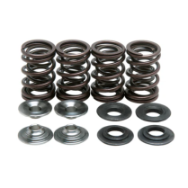 SPRING KIT, .440 LIFT, SUZUKI, DRZ/LTZ 400