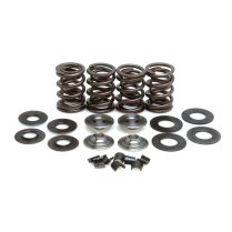 SPRING KIT, 0.500 LIFT", SUZUKI, GS500E, 1989-'00