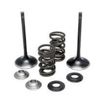 ENS. RESSORT SUZUKI LTR 450 06-09