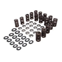 RACING SPRING KIT, TITANIUM, 0.445" LIFT, SUZUKI&reg;, GSX-R&trade; 10