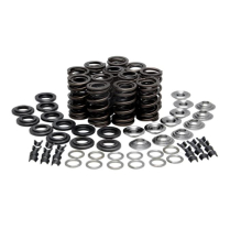 SPRING KIT, .430 LIFT, TRIUMPH, T509/T595 / 955I 911 855 &95