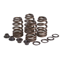 *SPRING KIT, BEEHIVE, 0.460" LIFT, TRIUMPH, 650, 1963-'83