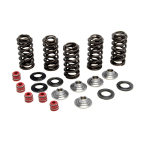 SPRING KIT, .380" LIFT IN/EX, YAMAHA, WR/YZ 250F, 2001-'12