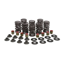 ENS. RESSORT RZR XP 1000 2014