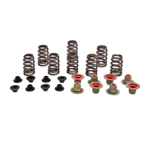 BEEHIVE SPRING KIT, STEEL, 0.435" LIFT, POLARIS&reg;, RZR&trade; XP 10