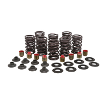 ENS. RESSORT TURBO (ACIER HT), .450 HAUT, POLARIS&reg;, RZR&trade;