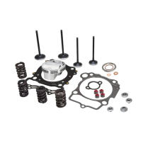 PISTON/SPRING KIT, 0.440" LIFT, POLARIS&reg;, PREDATOR&trade;/OUTLAW&trade;