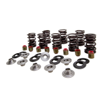 SPRING KIT, TURBO KIT (TI), .450" LIFT, POLARIS&reg;, VARIOUS 90