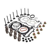 PISTON/SPRING KIT, 0.440" LIFT, POLARIS&reg;, VARIOUS 1000'S 201