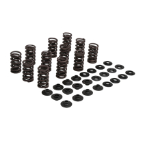 RACING SPRING KIT, HT STEEL, 0.445" LIFT, ARCTIC CAT&reg;, VARIO