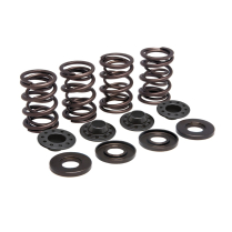SPRING KIT, .550 LIFT, MOTO GUZZI, MANY