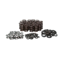 SPRING KIT, .500 LIFT, BMW, M3 E36