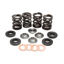 SPRING KIT, .460 LIFT, KTM, 400 / 520