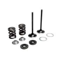 SPRING KIT, .460" LIFT, KTM, 450, 2002-'07 (INTAKE ONLY)