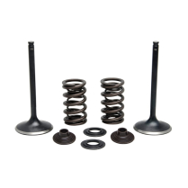 ENS. VALVE RES. KTM SX-F/XC-F 250 2013-14