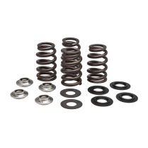 BEEHIVE SPRING KIT, TITANIUM, 0.435" LIFT, KTM&reg;, VARIOUS 450