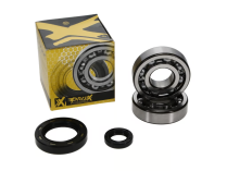 PROX CRANKSHAFT BEARING 830046-14SI RM-Z250 '07-09 30X62X16