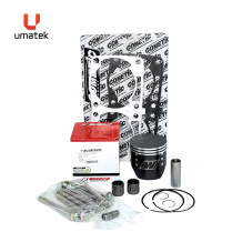 ENS. UMATEK POLARIS 800 2008-2020