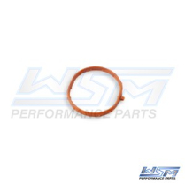 O-RING, PLENUM: YAMAHA 1050 16-18