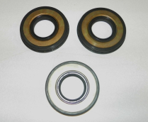 TIGER SHARK 770 CRANK SEAL KIT