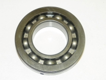 TIGER SHARK 900 / 1000 BEARING