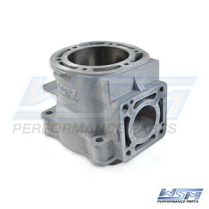 CYLINDER: YAMAHA 1300 03-08