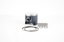 ENS. DE PISTON POLARIS 700 / 1050 PLATINE STD.