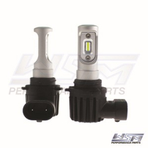 AMPOULES LED PUISSANTES HB4 / 9006