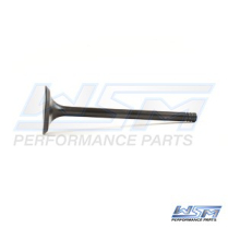 VALVE: INTAKE, YAMAHA F75-F115 HP 4-STROKE