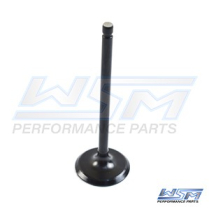INTAKE VALVE: YAMAHA 115 HP 4 STROKE 14-21