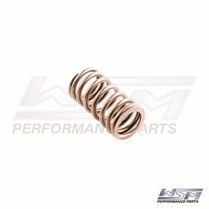 VALVE SPRING: YAMAHA 150 - 225 HP 4-STROKE 02-10