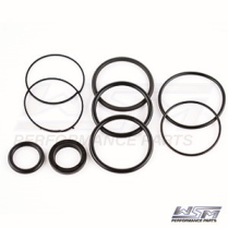 TRIM CYLINDER SEAL KIT: EVINRUDE / OMC / VOLVO