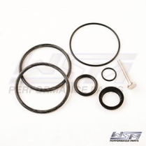 TILT CYLINDER SEAL KIT: MERCURY / MARINER 4 CYLINDER VERADO