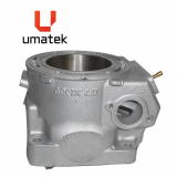 CYLINDRE -  ARCTIC CAT 800 (733D11-1) (2 TROUS)