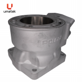 CYLINDRE (REPLAQU&Eacute;) - POLARIS XC 700 P.V.EX MOULAGE #1203