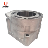 CYLINDRE (REPLAQU&Eacute;) - POLARIS XC 600 P.V.E.V. MOULAGE #333