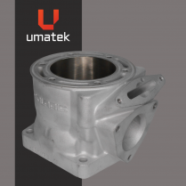 CYLINDRE (REPLAQU&Eacute;) - POLARIS XC 800 P.V.E.V. MOULAGE #1339