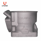 CYLINDRE (REPLAQU&Eacute;) - POLARIS XC 800 P.V.E.V. MOULAGE #1339