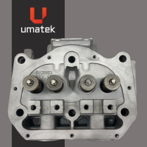 CYLINDER HEAD - 800 L/C   EFI  VALVES INCLUDED