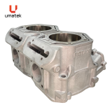 BLOC 2- CYL. MXZ 800 ETEC