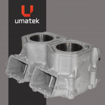 BLOC 2- CYL. MXZ 800 2008