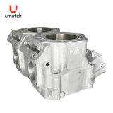 BLOC 2- CYL. MXZ 800 2009