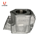 CYL. SKIDOO MXZX 600 RS 2013 REPLAQU&Eacute;