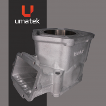 CYLINDRE (REPLAQU&Eacute;) - BRP MXZ SUMMIT 700 GOUJON 10MM 00-01